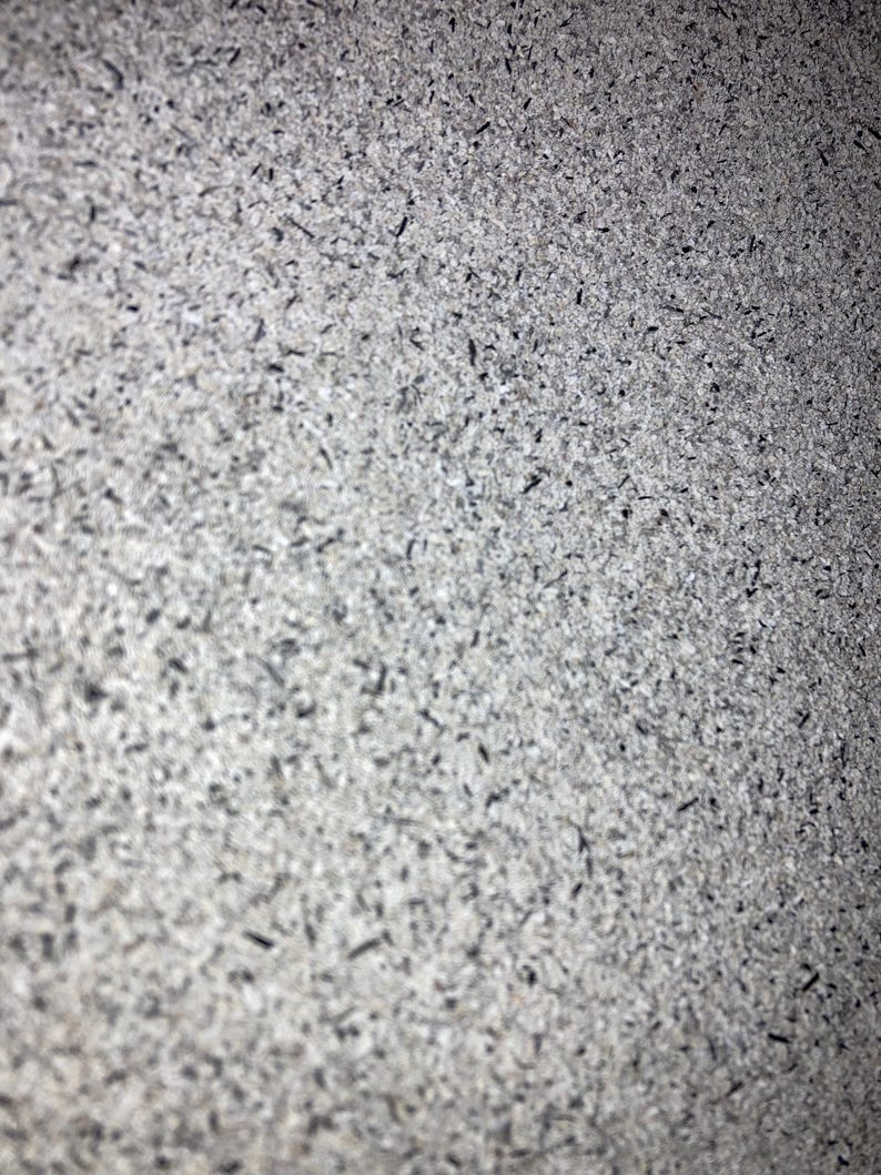 May include: Close-up of a gray textured surface with small black flecks throughout.