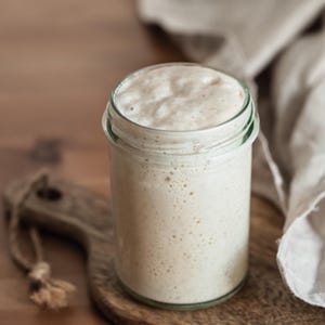 Organic Heirloom French Sourdough Starter 250+ Year Old Dehydrated Self Stable Vacuum Sealed Free Shipping