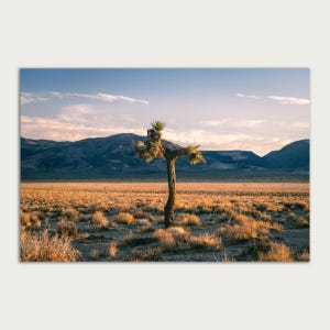 Majestic Joshua Tree Sunset - Death Valley Desert Landscape Print - Golden Hour Wall Art - Arid Beauty Photography