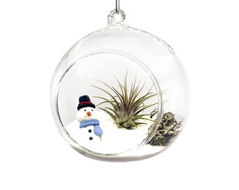 DIY Winter Air Plant Kit, Snowman wonderland