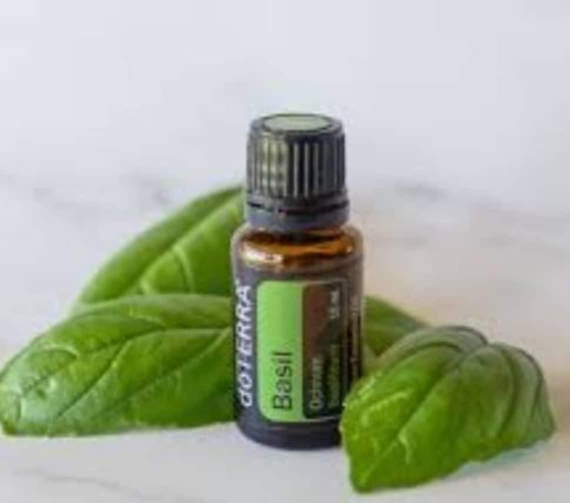 BASIL by doTerra essential oil 15ml brand new full size Etsy