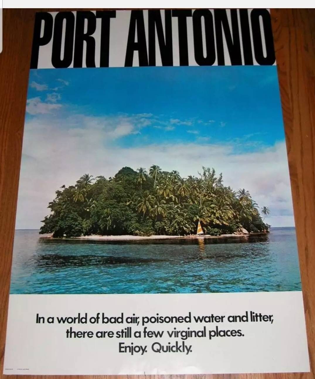 RARE Authentic vintage Full Sintra Bronte Jamaica JTB 70's wet t shirt