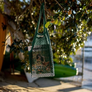 May include: A green mesh tote bag with a white label that says "Canvas" hanging from a tree branch. The bag is filled with a magazine.