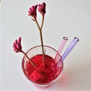 May include: A glass of red liquid with two purple glass straws and a single pink flower stem in the glass.