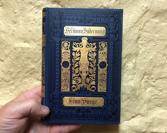Frau Sorge, Roman Von Hermann Sudermann, German Language, Book, 1906.