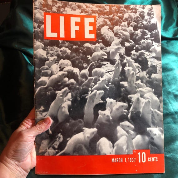 雑誌LIFE アンティーク　広告　1937 March 1st, 1937, Life Magazine, Scarce Original Copy in Fine