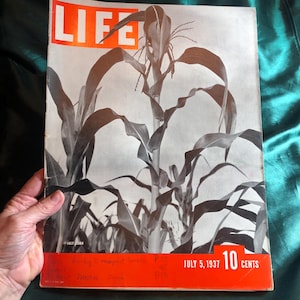 1937 life magazine - Etsy 日本