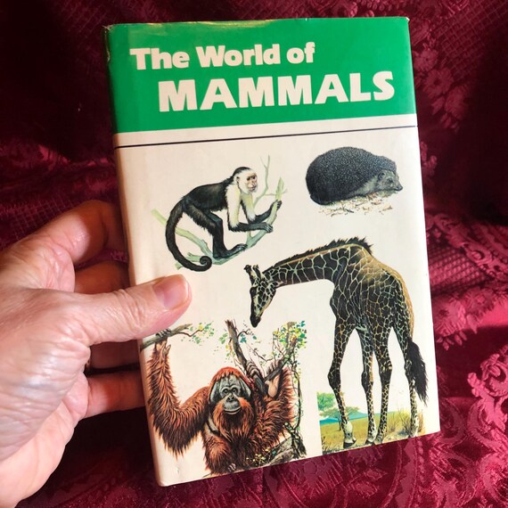 The World of Mammals, Plus, Mammals-the Little Guides, 2 Books