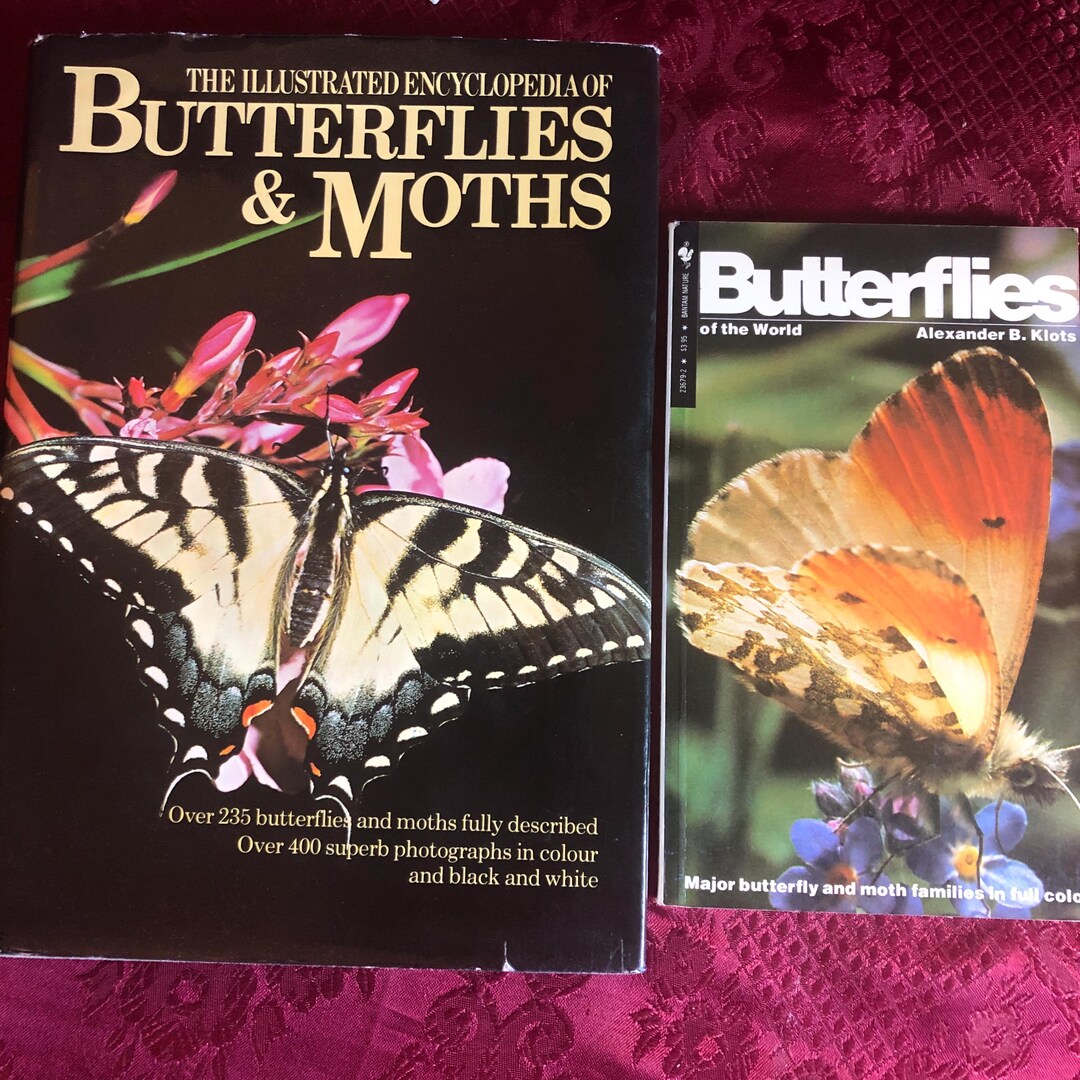 The International Butterfly Book 英語版 初版本 il_1080xN.6654092948_fn5e.jpg