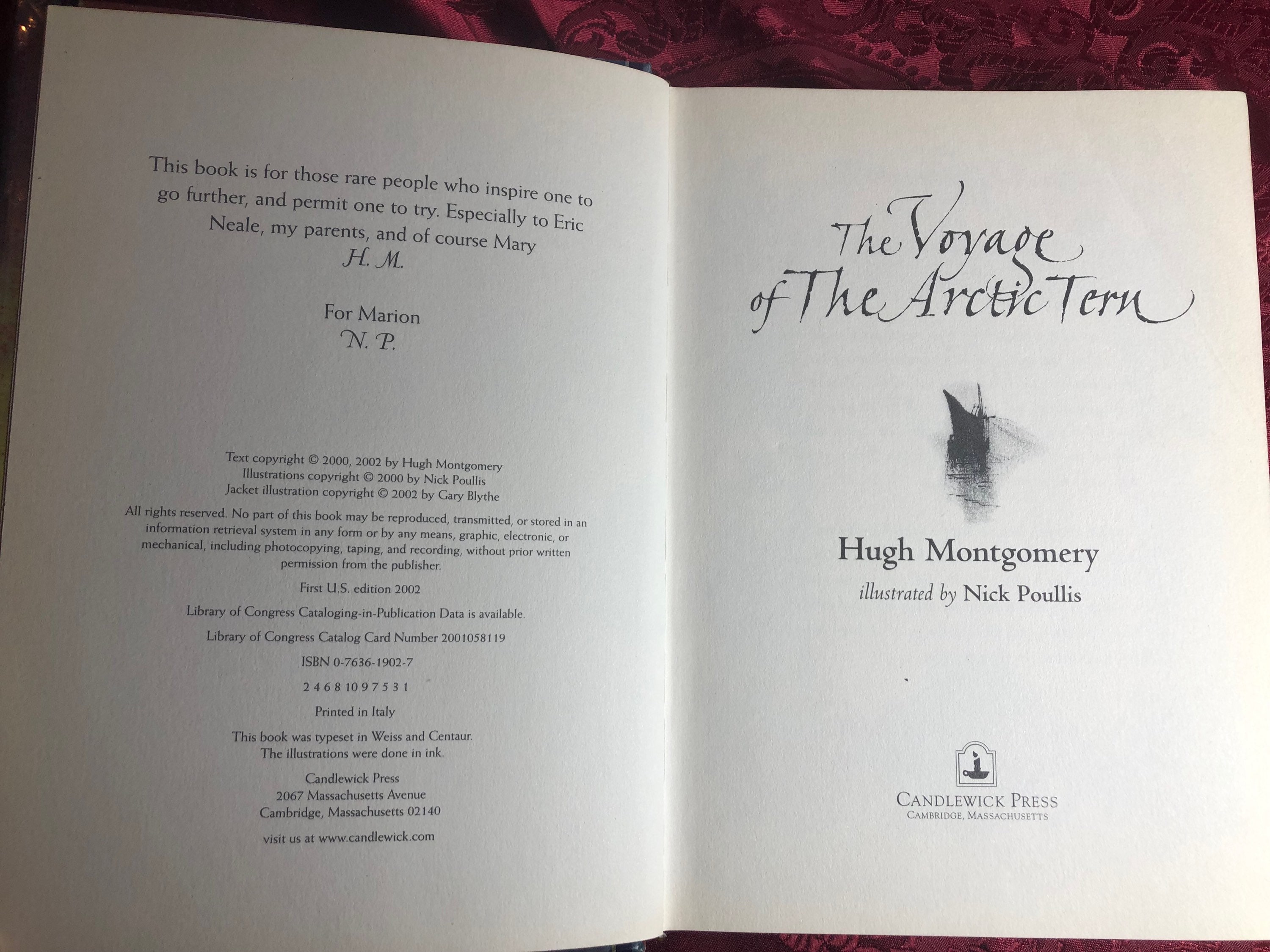 The Voyage of the Arctic Tern, A Book by Hugh Montgomery, A