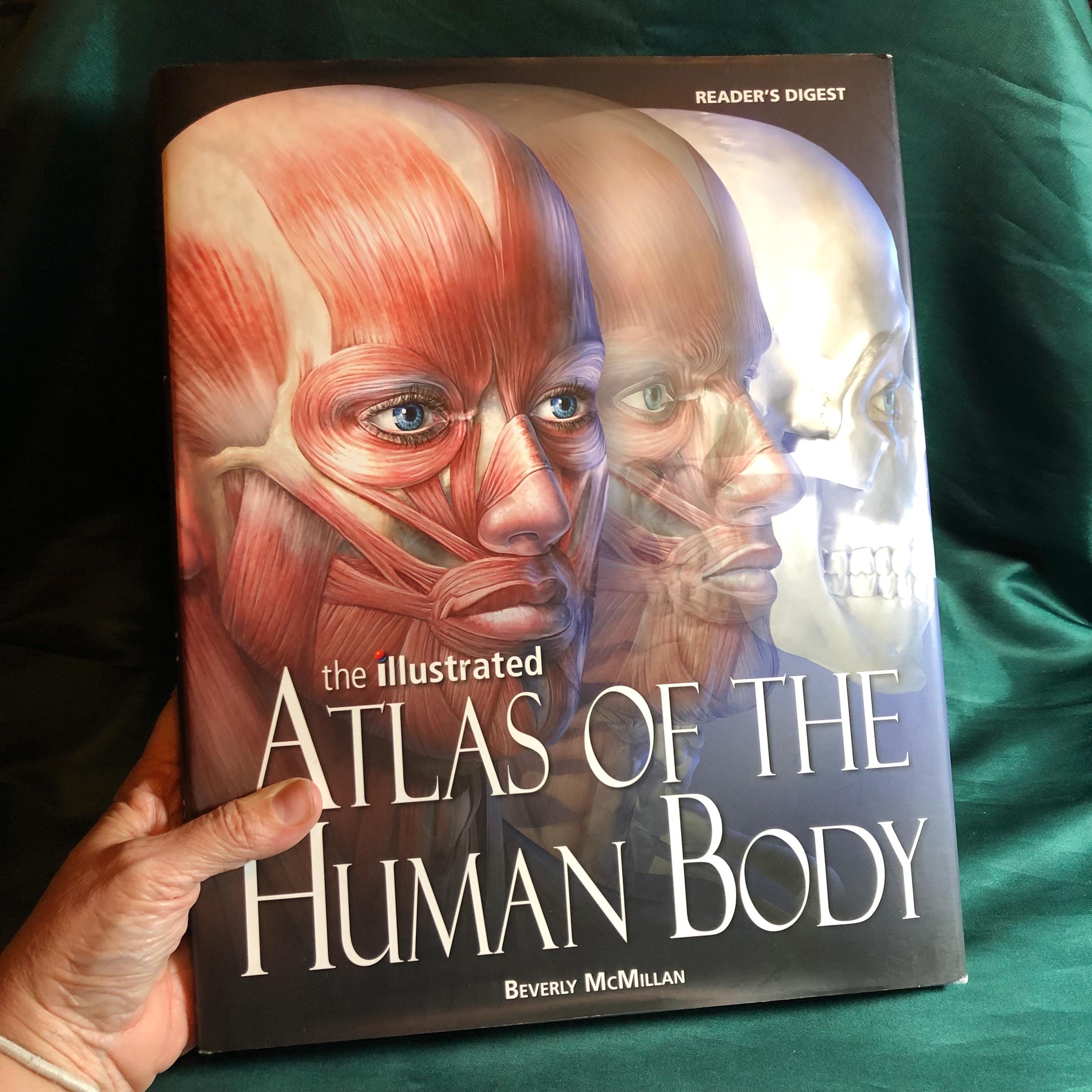 The Illustrated Atlas of the Human Body, A Book by Beverly