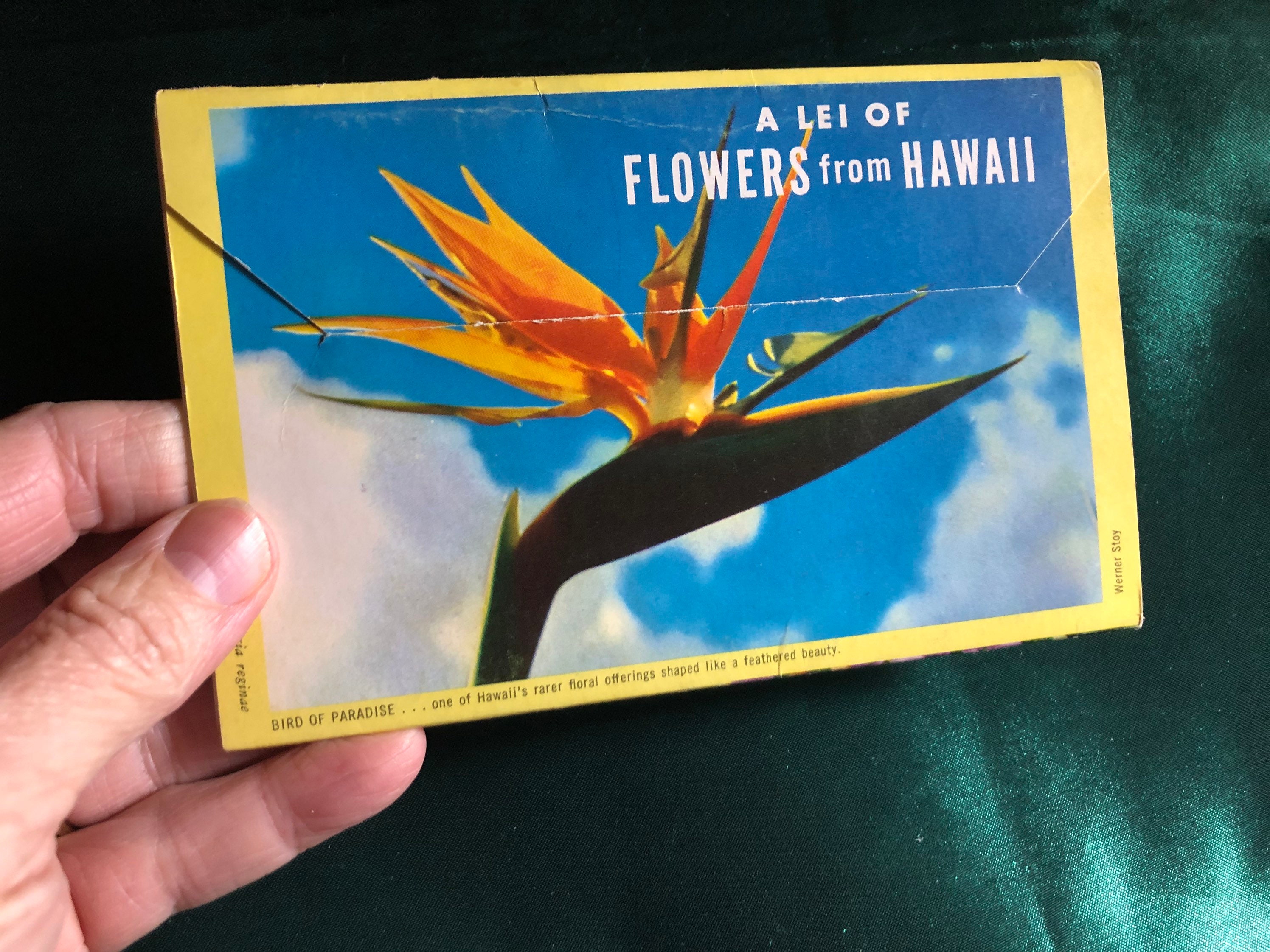 Two Vintage Souvenir Photo Booklets of Hawaii, Fishes of