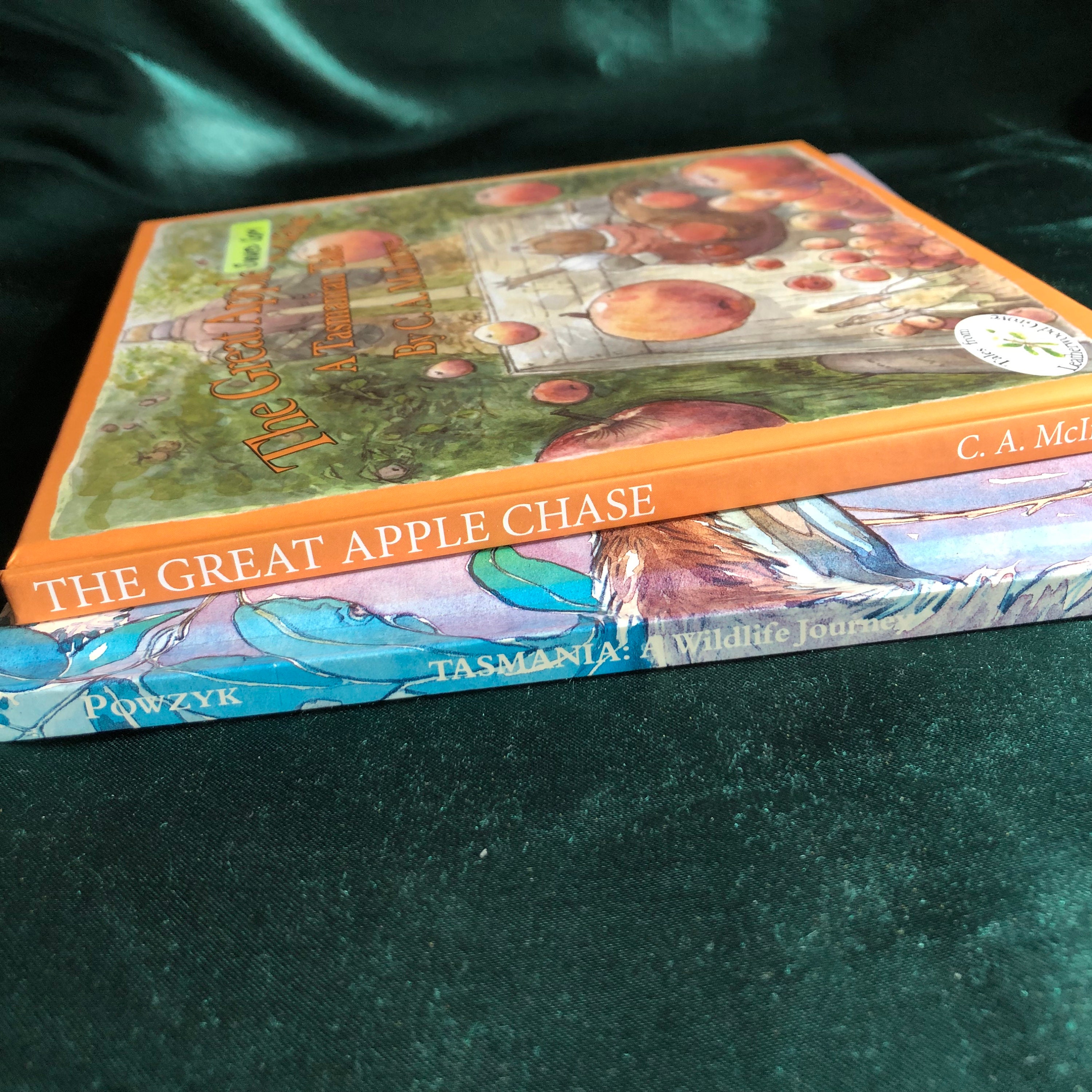 洋書 s of Tasmania Big Blue 1840-1940: 1899-1912 Tasmanian Pictorials Part A