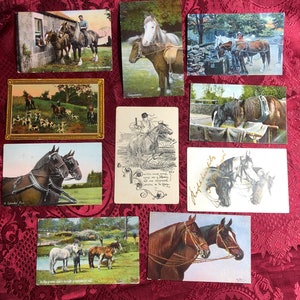 Set of 10 Antique Postcards Featuring Horses, Early 20th Century Picture Postcards, Stamp and Postcard Collectors.