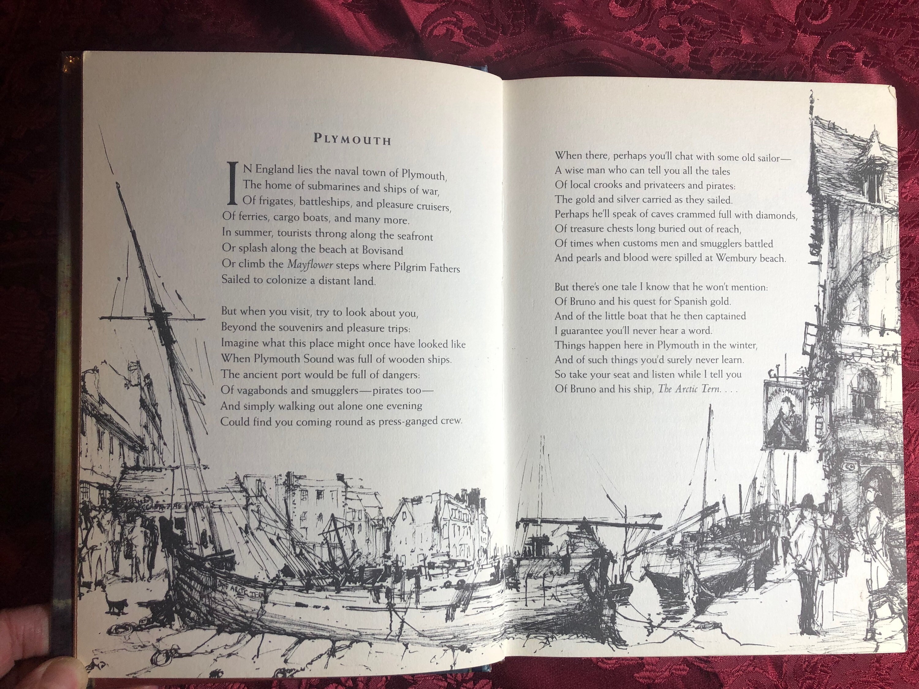 The Voyage of the Arctic Tern, A Book by Hugh Montgomery, A