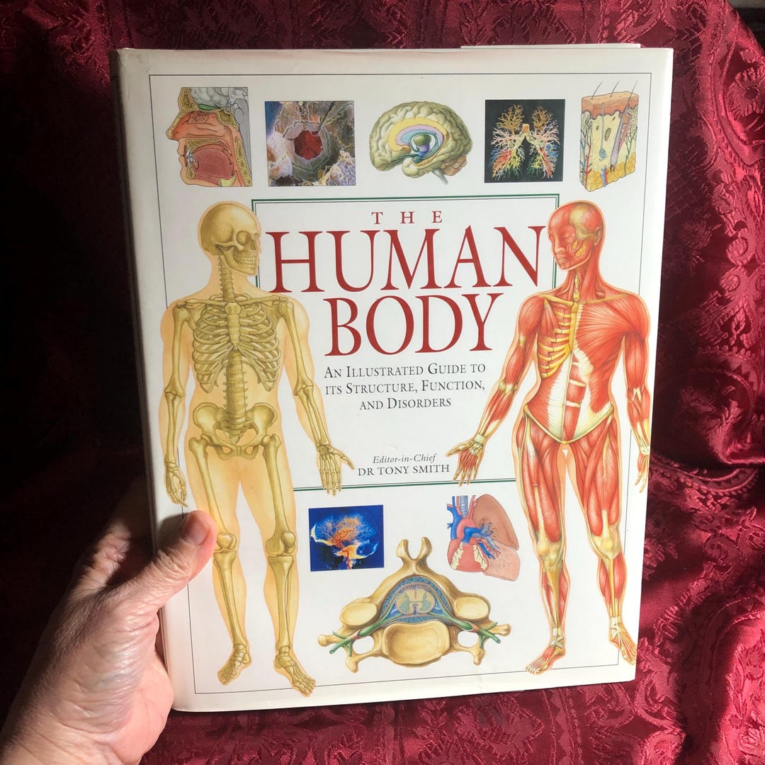 The Human Body, an Illustrated Guide to Its Structure, Function and ...