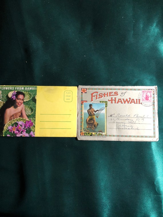 洋書 アンティーク HAWAIIAN FISHES ポストカード