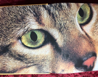 Encyclopedia of the Cat, A Book by Angela Sayer & Howard Loxton