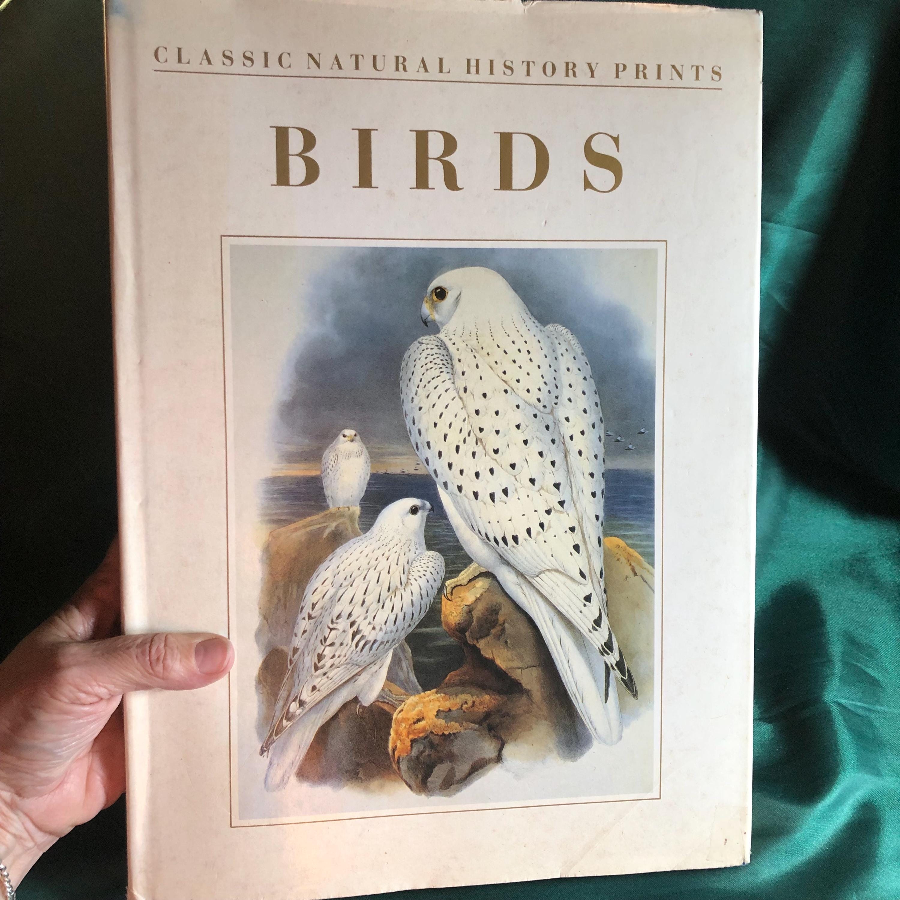 Birds-classic Natural History Prints, A Book by S. Peter Dance