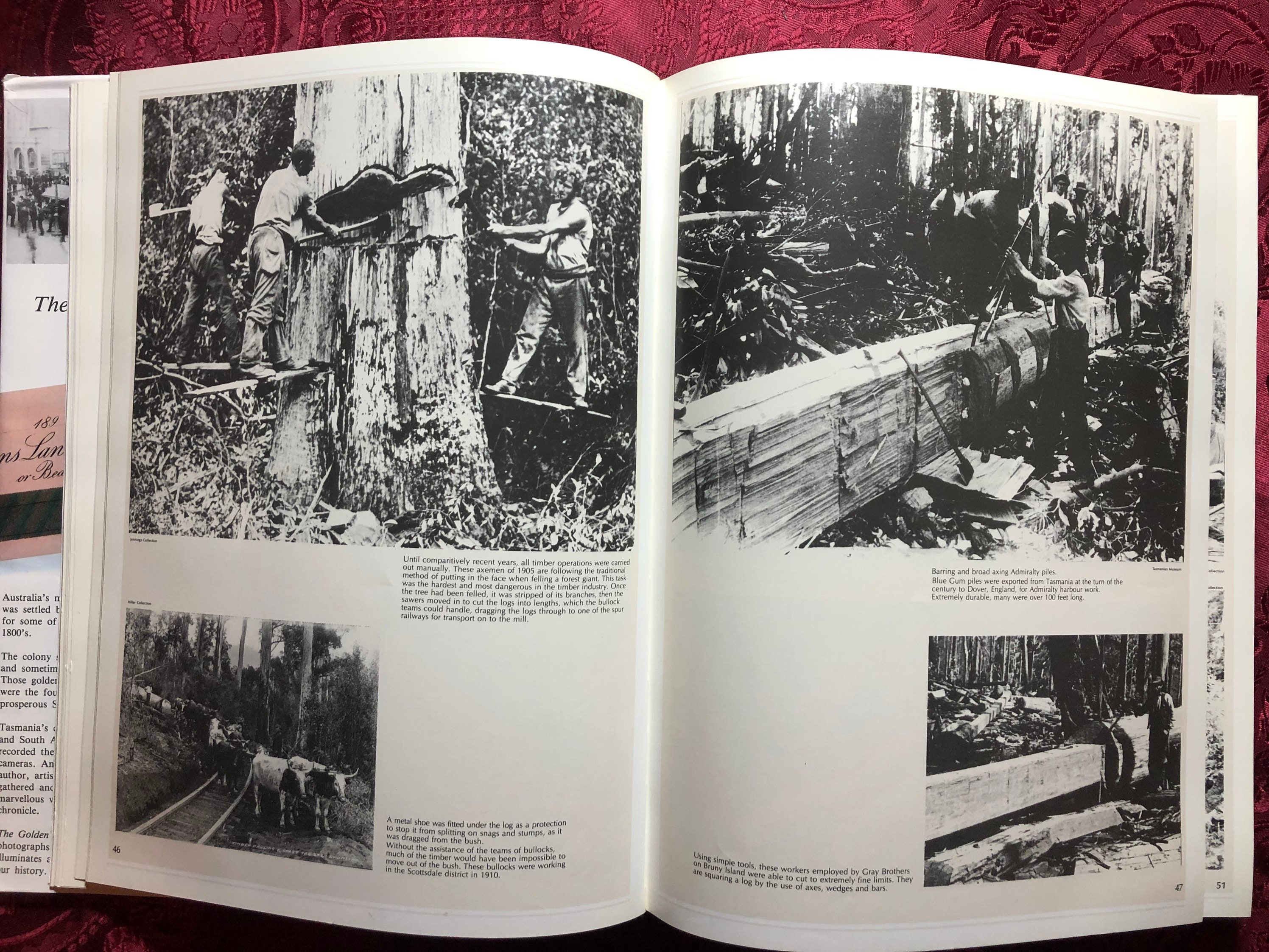 The Golden Years of Tasmania, A Book by David Hopkins, Nostalgia