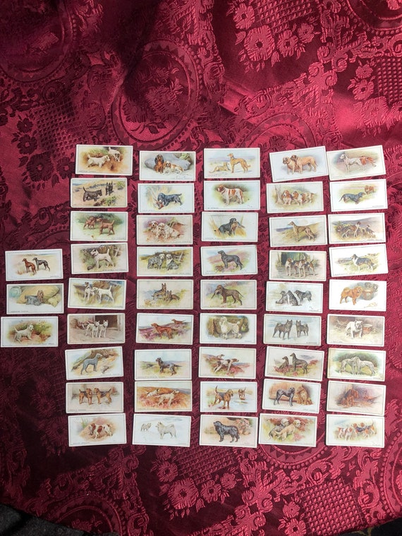Antique Cigarette Cards, Dogs of the World, W. D. & H. O. Wills, 1926 Set  of 48 (of 50), Beautiful Dog Pictures, Historic Collectables