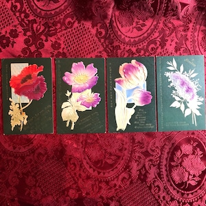 Quatre cartes postales Art Nouveau antiques, série d’anniversaire « Aero-Flor », produites en Autriche, véritables cartes postales florales texturées anciennes, vers 1905.