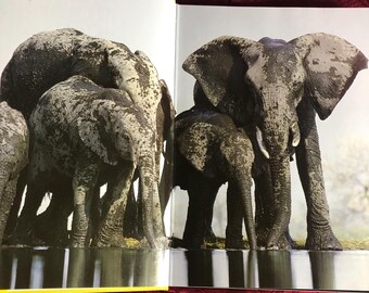National Geographic Society - 100 Years of Adventure and Discovery