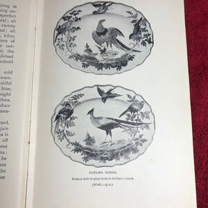 May include: Two antique Chelsea porcelain plates with a white background and black and white painted images of birds. The plates are oval shaped and have a scalloped edge. The text "CHELSEA DISHES. Painted with tropical birds in brilliant colours. (Width, 12 1/2 in.)" is printed below the plates.