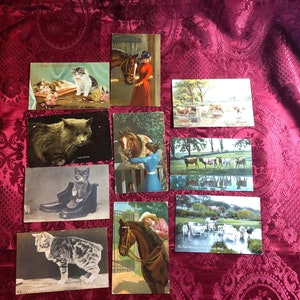 Ten Antique Postcards Featuring Animals, Horses, Cats, Cows, Genuine Cards From Early 1900's, Adorable Pets, Stamp/Postcard Collectors.