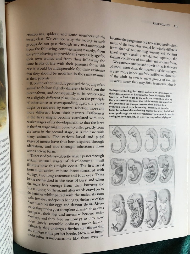 The Illustrated Origin of Species, Book by Charles Darwin With R. E ...