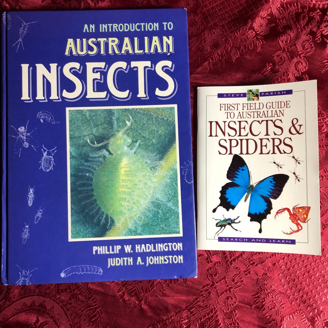 Australian Insects & Spiders, 2 Books, Field Guide, Nature Studies ...