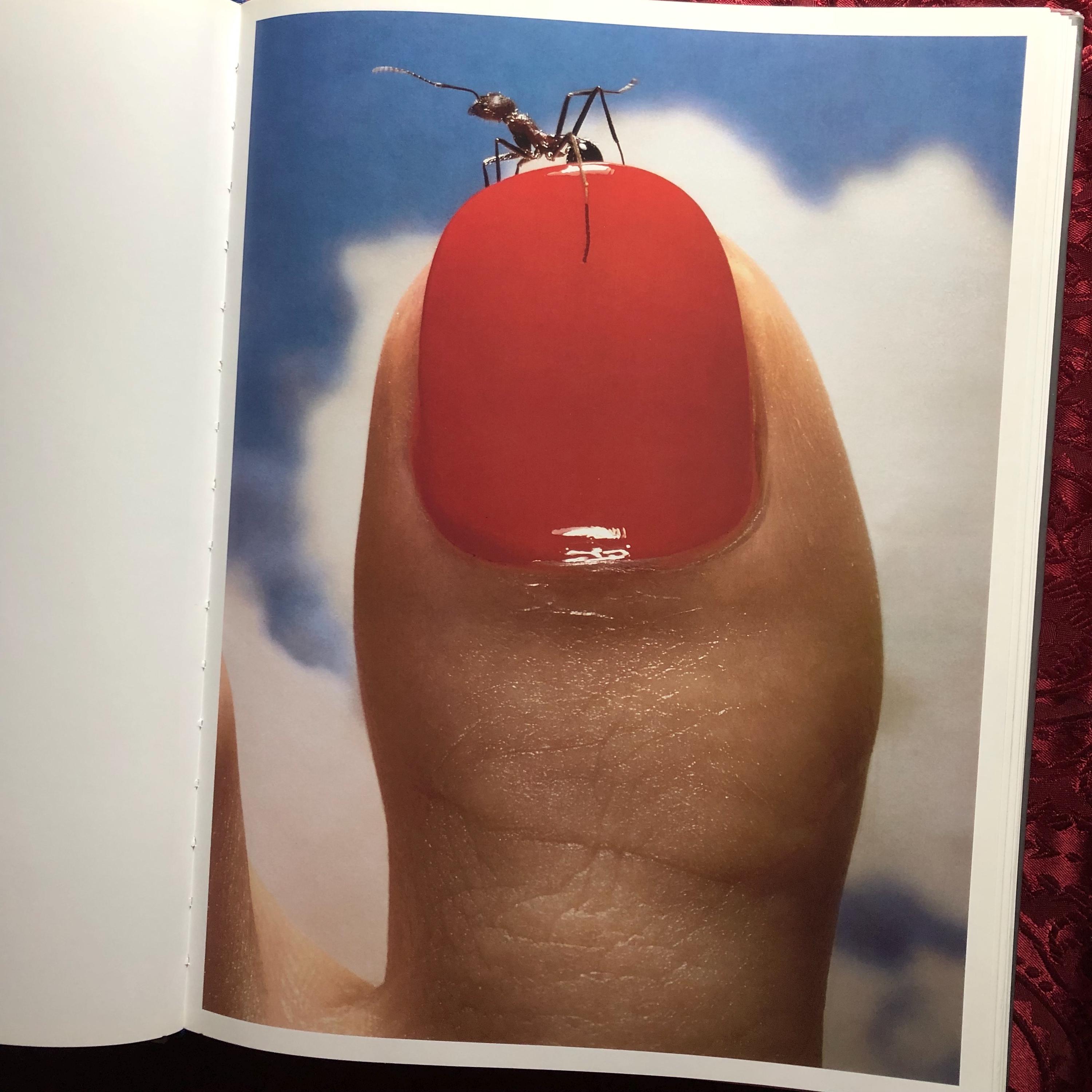 Hiro, Photographs by Hiro, Scarce Fine Art Book 1999, Photography