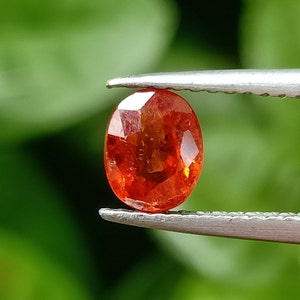 May include: A vibrant orange oval-shaped gemstone held by tweezers against a green background.