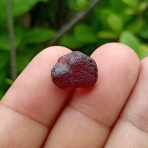 May include: A small, rough-cut, dark red gemstone is held between fingers. The stone has a textured surface and irregular shape. Green foliage provides a blurred background.