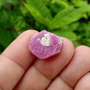 May include: A rough, uncut pink ruby gemstone with a white patch. The ruby is held in a hand, with a blurred green background of leaves. The gemstone has a crystalline structure and a vibrant, natural colour.