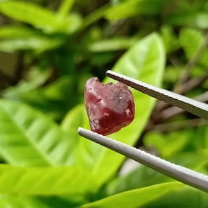 7.73 carat. Spinel. Natural Rough Crystal.