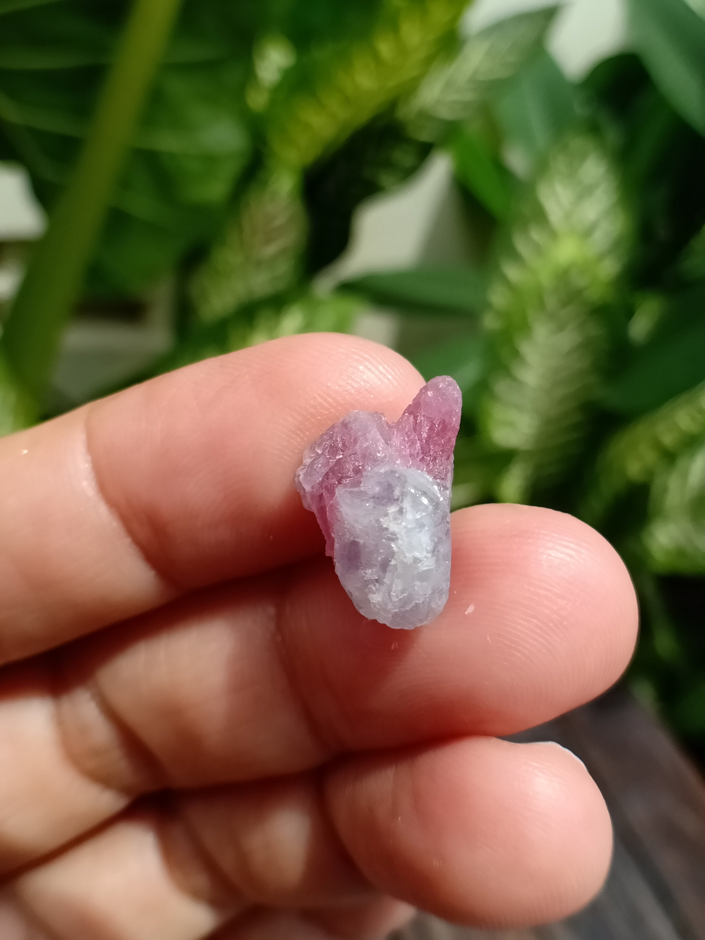 8.65 カラットのマトリックス付きトルマリン原石。 - Etsy 日本