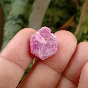 May include: A rough, pink gemstone with a crystalline structure. The gem has a slightly irregular shape and a vibrant, saturated color. The background is blurred, with green foliage visible.