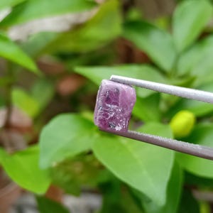 4.38 crt.  Sapphire Crystal. Natural. (Untreated)