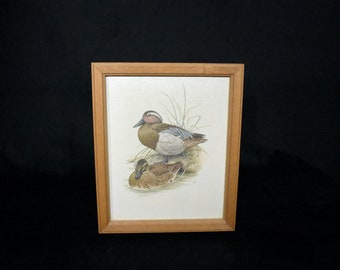 Duck Painting, Signed Duck Artwork, Murr 1957