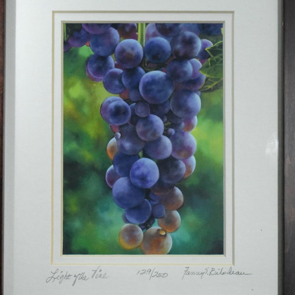 Vineyard Wine Drawing by Fanny S. Bilodeau, Light Of The Vine Numbered 129/250