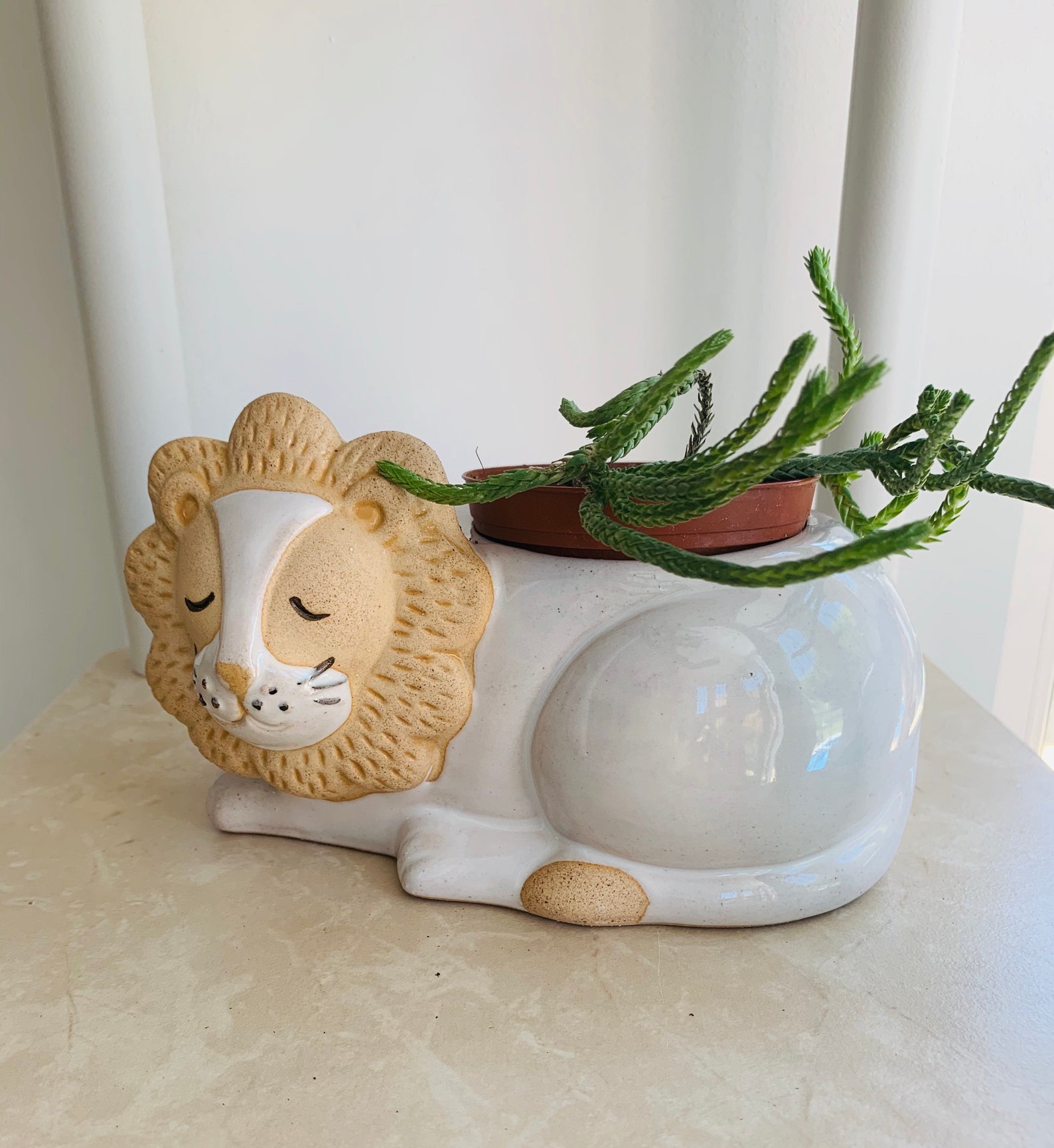 Leo Lion Planter Plant Pot Indoor Plant Pot Cache Pot Etsy