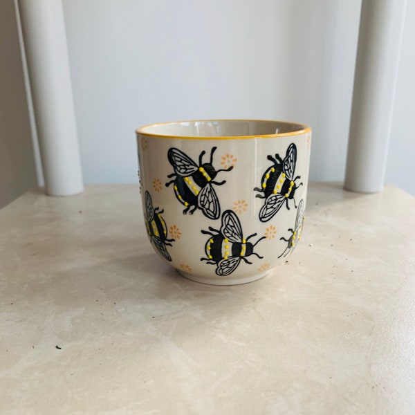 Busy Bee Small Cache Plant Pot, Indoor Plant Pot