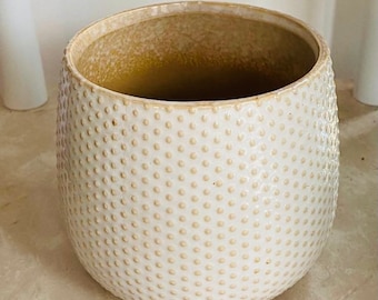 Beige Cover Ceramic Indoor Plant Pot