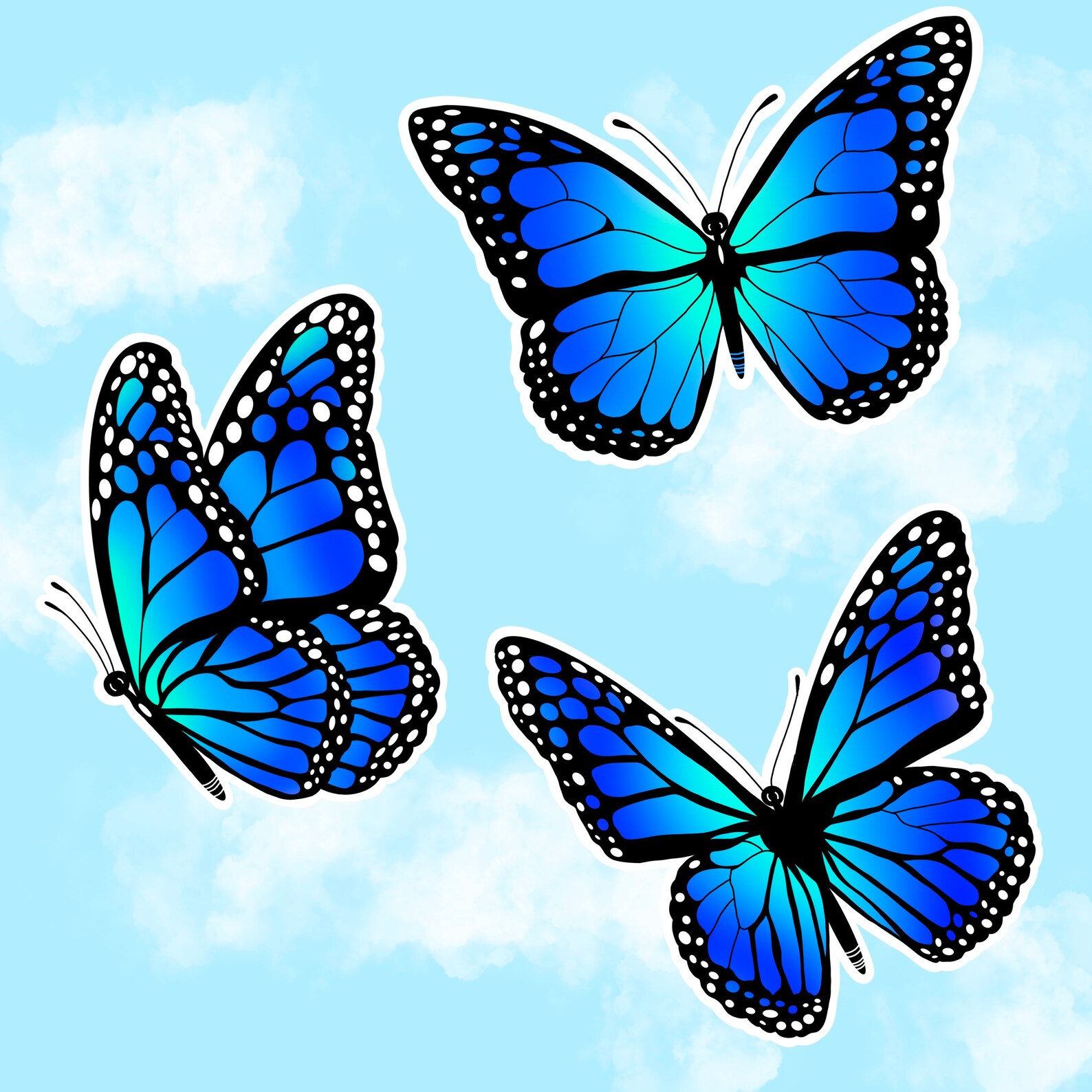 Butterfly Sticker Pack Set of 3/ waterproof sticker hydro Etsy
