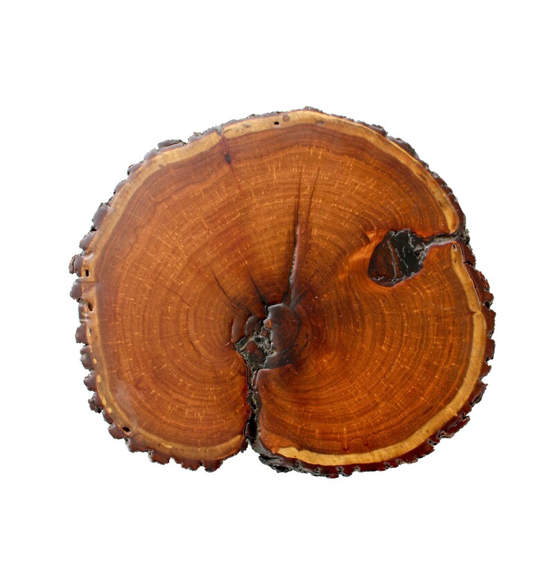 Lazy Susan Wood Slice Live Edge Mesquite Etsy