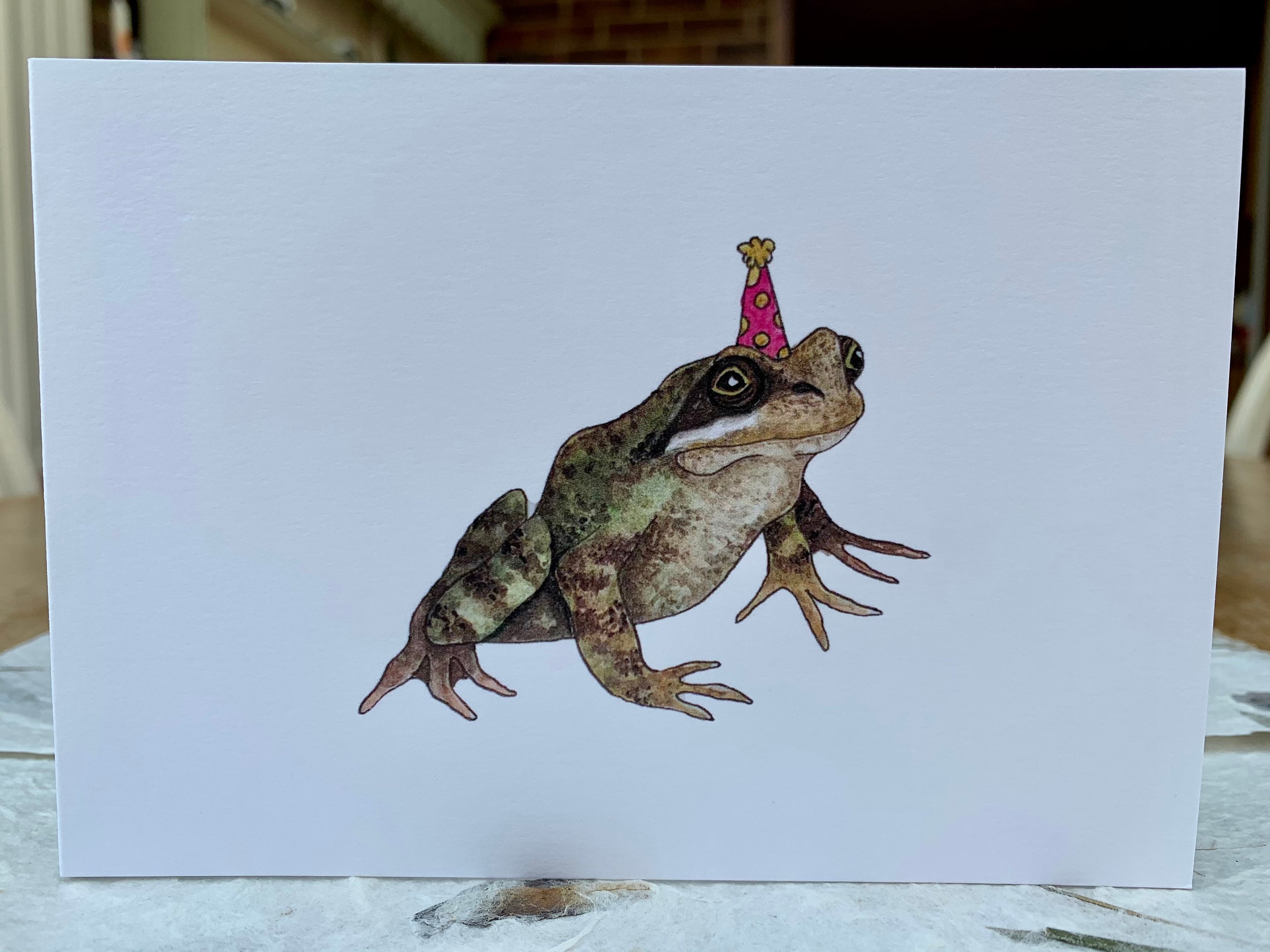 Frog with a Party Hat Handmade and Illustrated with | Etsy