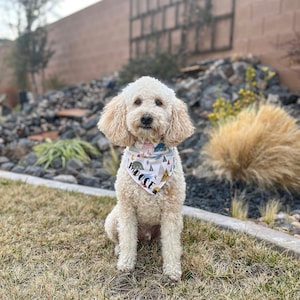 personalized dog bandana-boho dog bandana-snap on dog bandana image 1