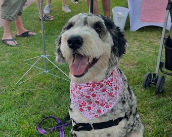 personalized dog bandana-pink floral dog bandana-summer dog bandana-cute dog bandana-custom dog bandana