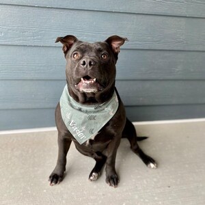 personalized dog bandana-arrow dog bandana-summer dog bandana-cute dog bandana-custom dog bandana-boho dog bandana-chevron dog bandana